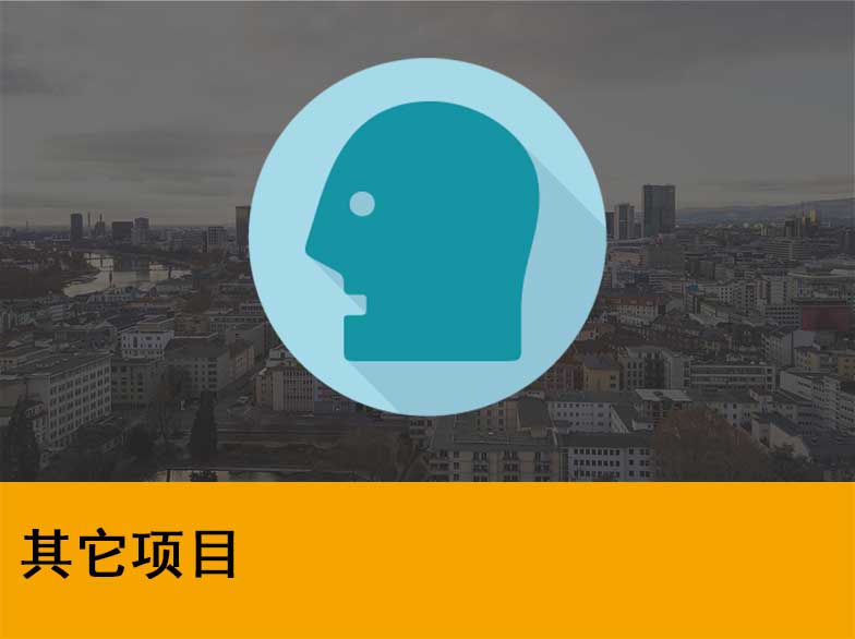 案例_20